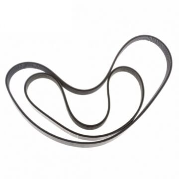 Ford Focus Vantilatör Kayış Kiti 1.6 Benzinli 2005-2017